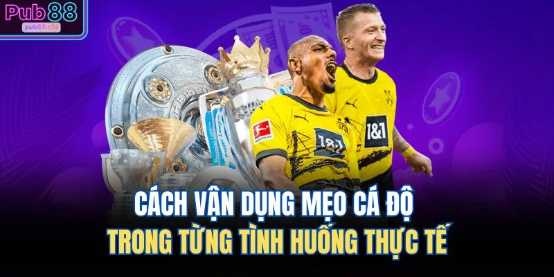Cách vận dụng mẹo cá độ trong từng tình huống thực tế